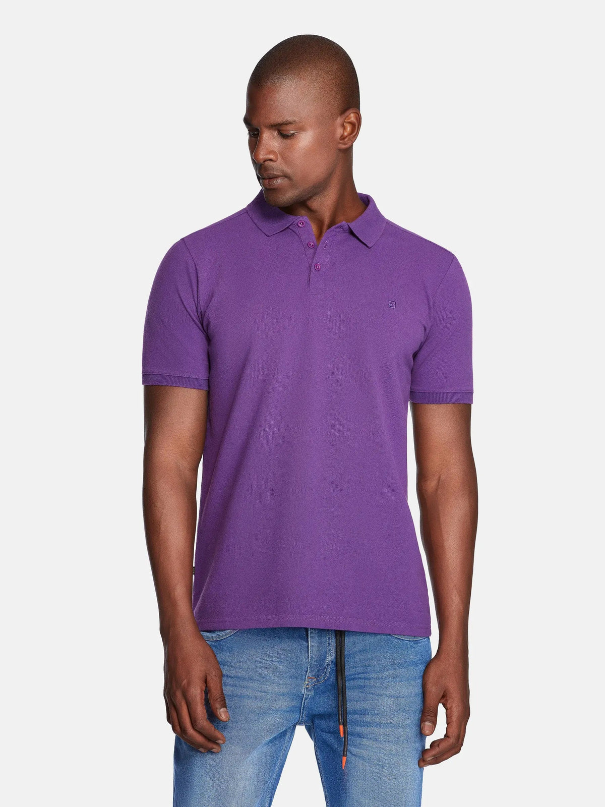 Polo 89364 Bremgarten Purple 6XL