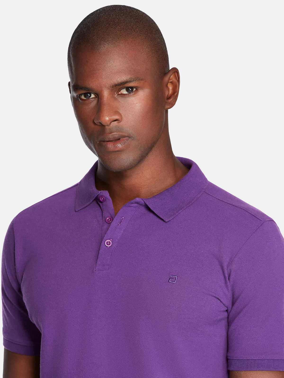 Polo 89364 Bremgarten Purple 6XL