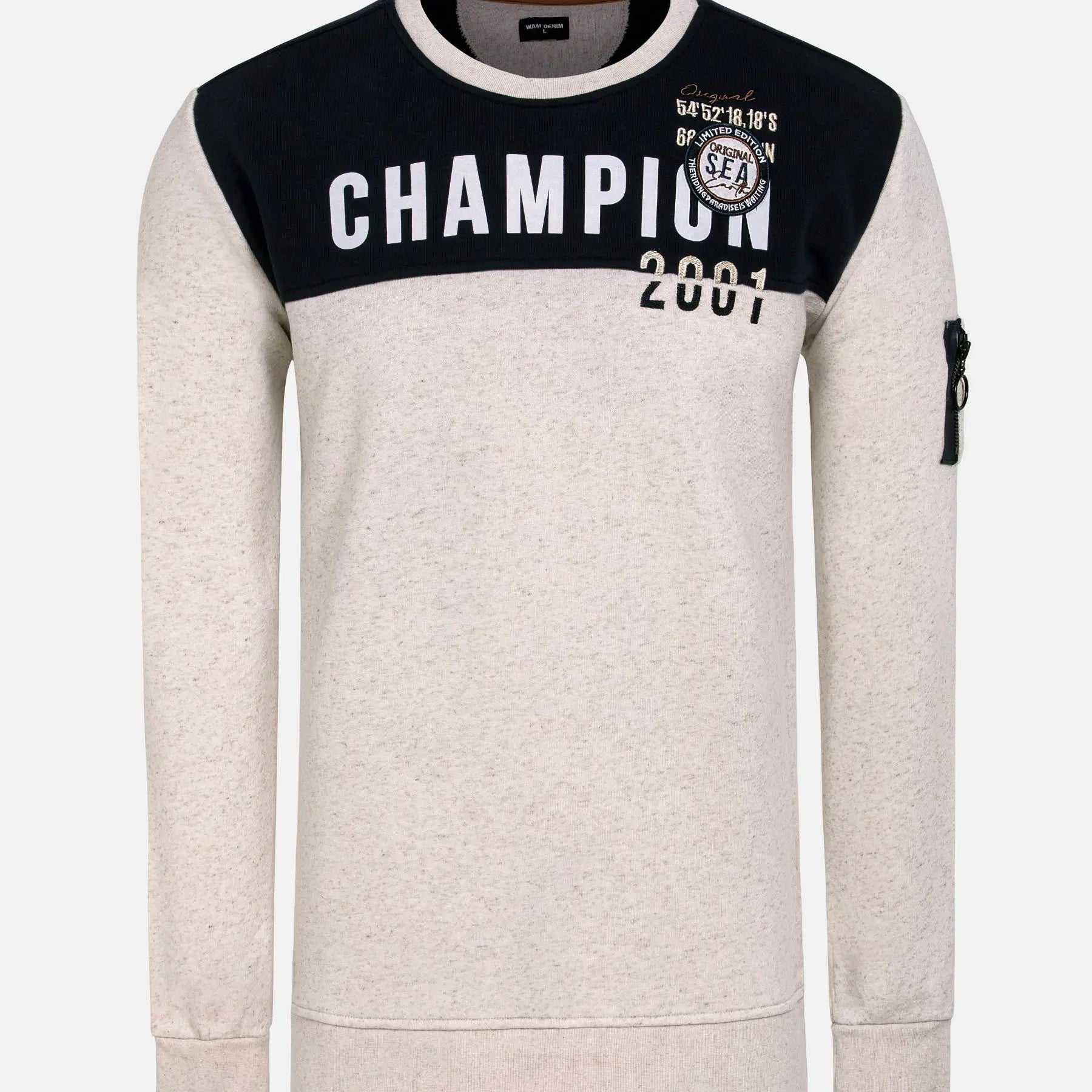 Sumar Crew Neck Beige Sweater 6XL