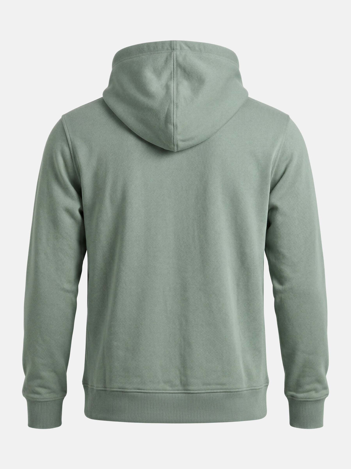 Hoodies 86318 Dexlor Light Green